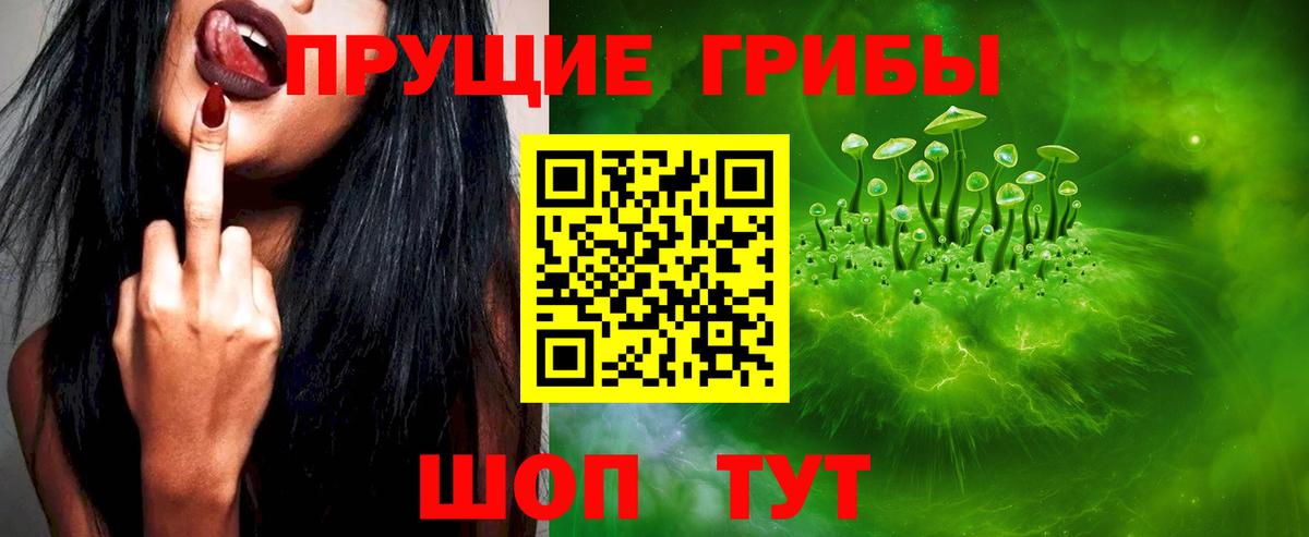 Псилоцибиновые грибы Psilocybe  Вход с VPN  Ухта 